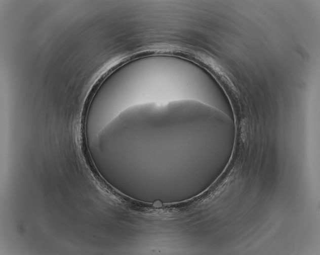 X0000115091229200911101517