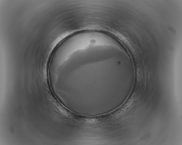 X0000115091230200911101517