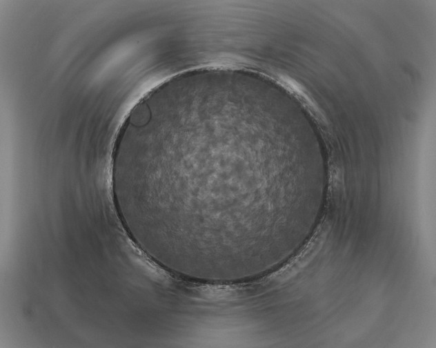 X0000115091232200911101517
