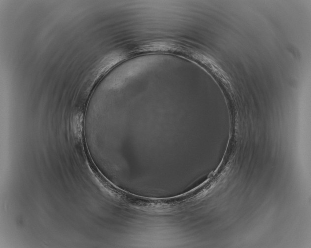 X0000115091233200911101517