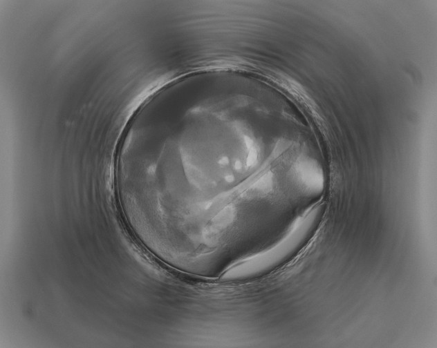 X0000115091234200911101517