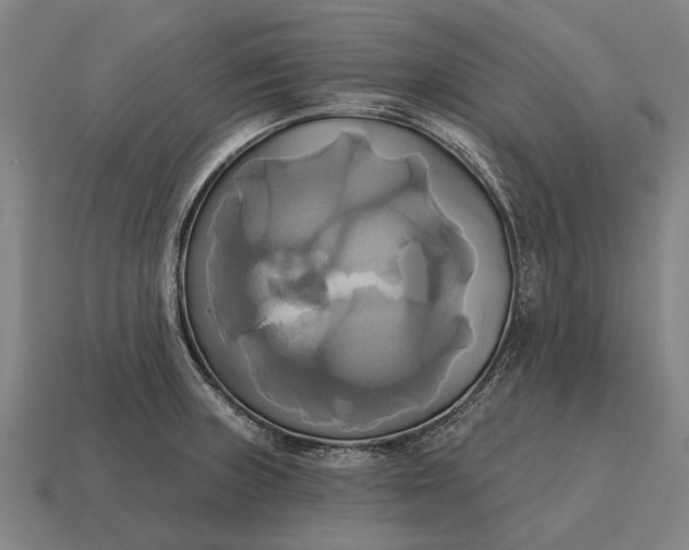 X0000115091235200911101517