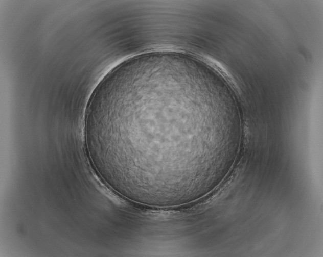 X0000115091236200911101517