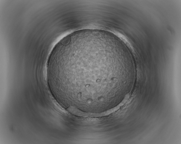 X0000115091238200911101517