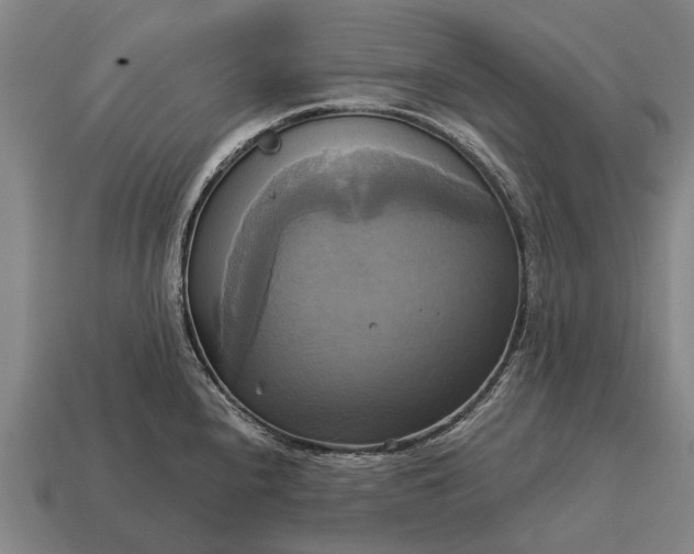 X0000115091240200911101517