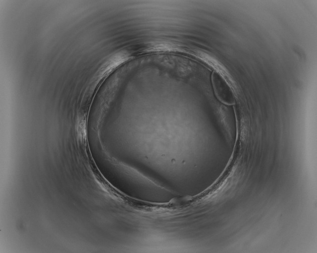 X0000115091241200911101517