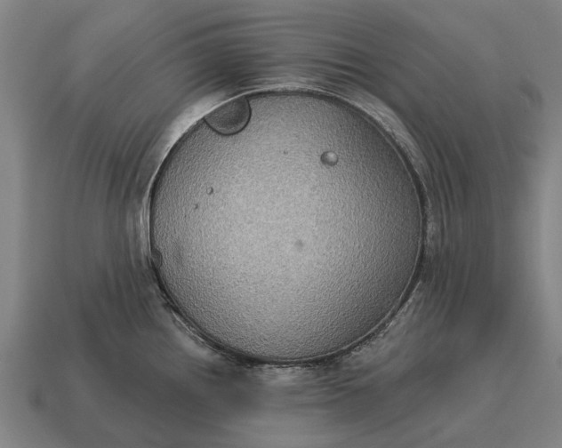 X0000115091242200911101517