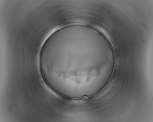 X0000115091243200911101517