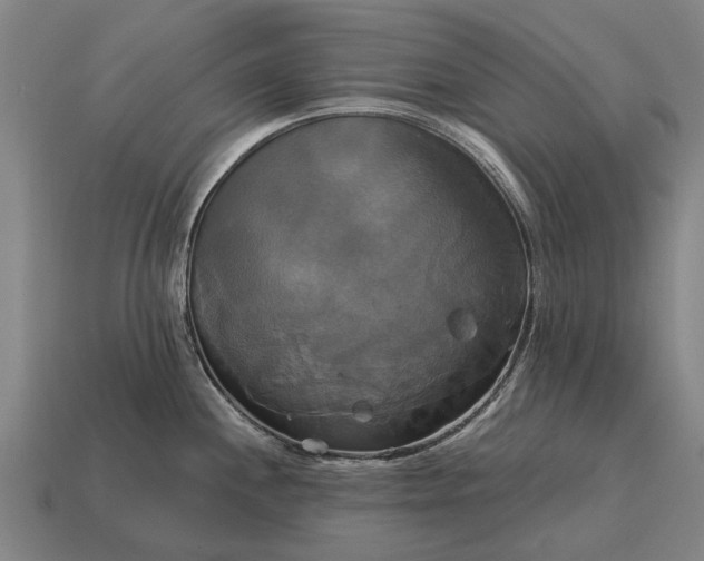 X0000115091244200911101517