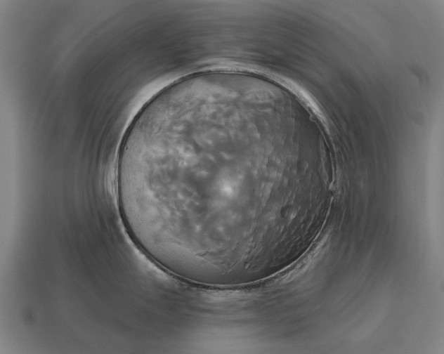 X0000115091247200911101517