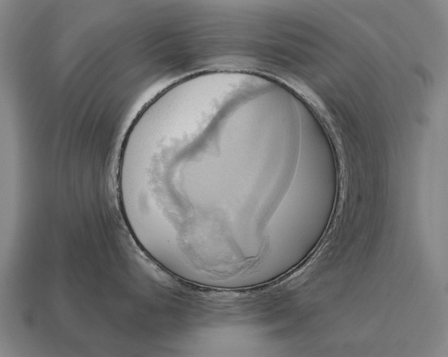 X0000115091248200911101517