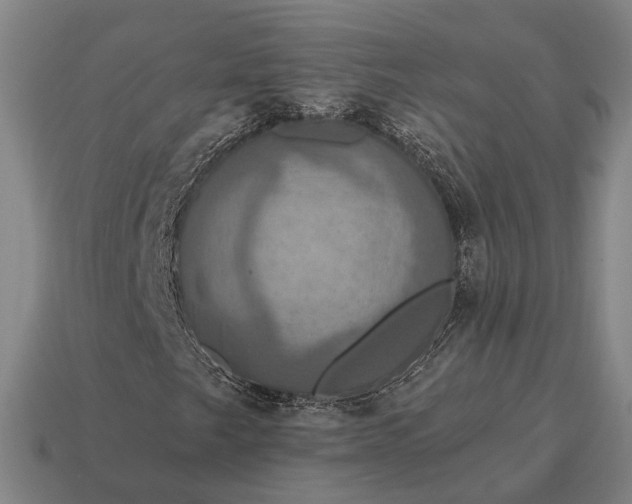 X0000115091249200911101516