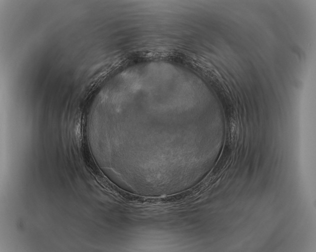 X0000115091250200911101516