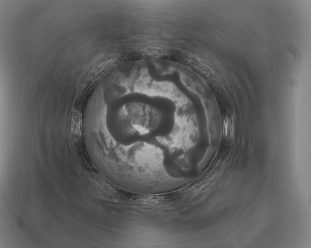 X0000115091251200911101516