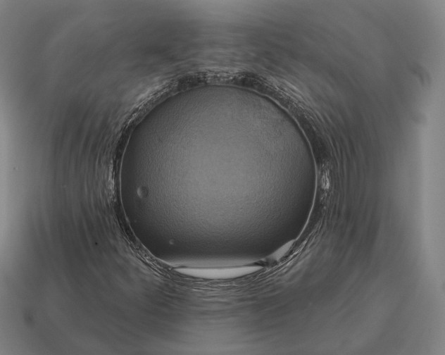 X0000115091252200911101516