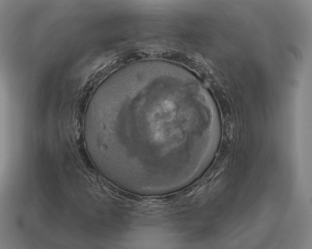 X0000115091253200911101516