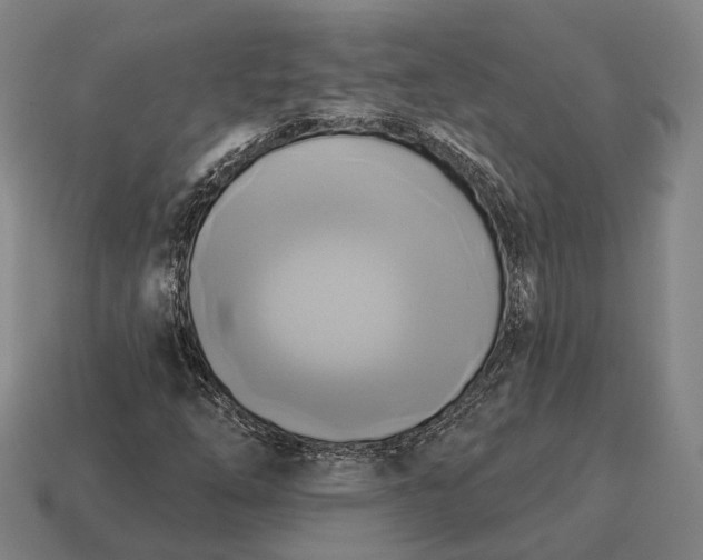 X0000115091254200911101516