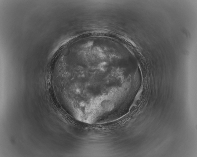 X0000115091255200911101516