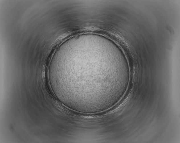 X0000115091257200911101516