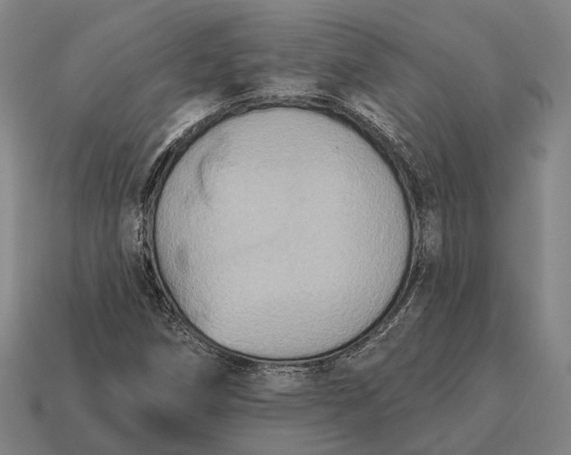 X0000115091258200911101516