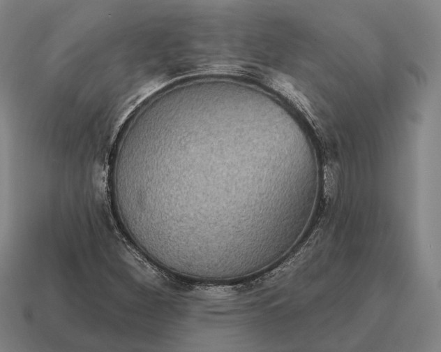 X0000115091260200911101516