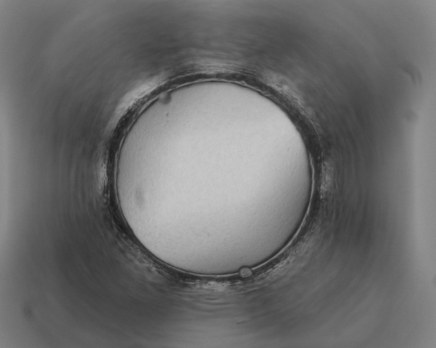X0000115091261200911101516