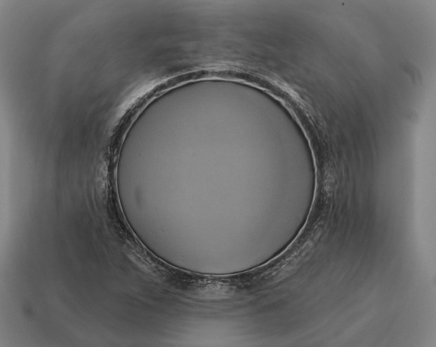 X0000115091263200911101516
