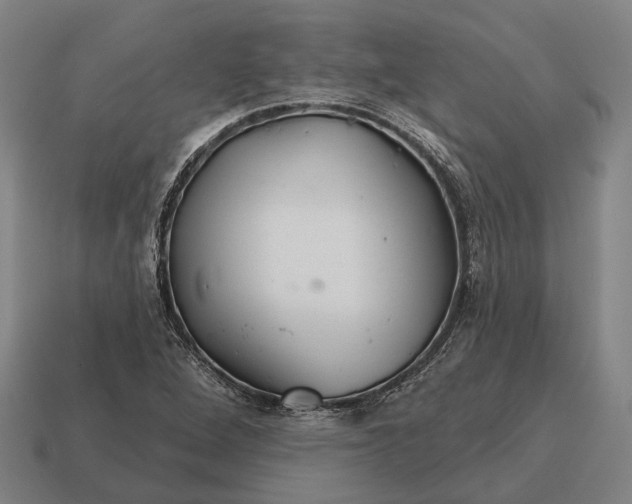 X0000115091264200911101516