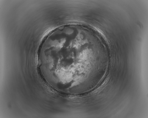X0000115091267200911101516