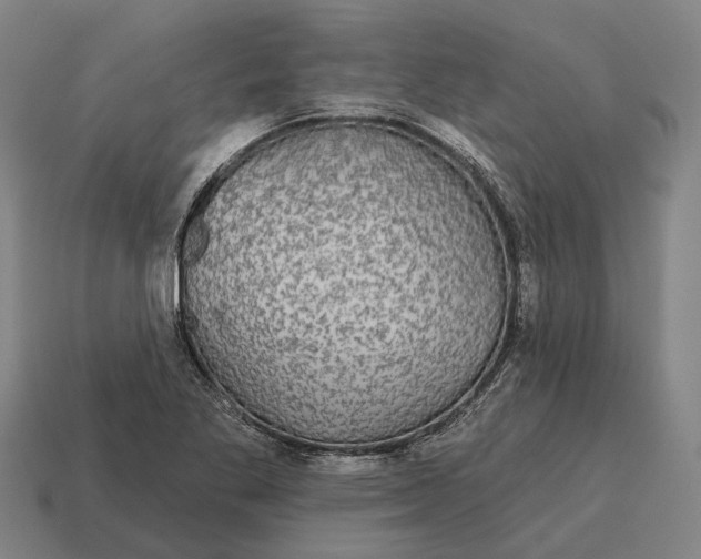 X0000115091269200911101516