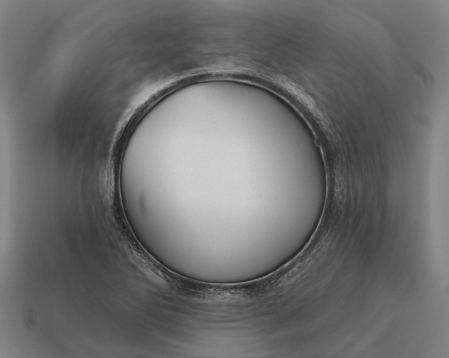 X0000115091270200911101516