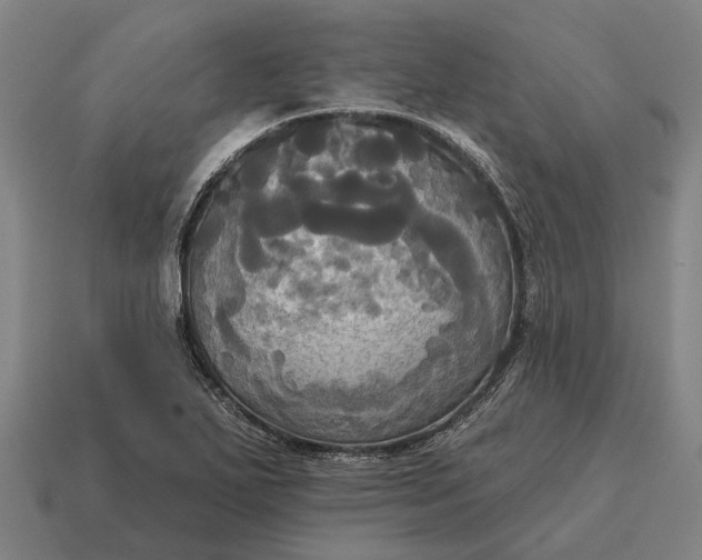 X0000115091271200911101516