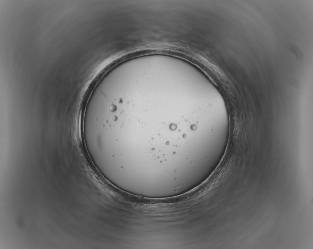 X0000115091272200911101516