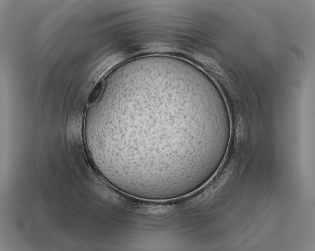 X0000115091273200911101516