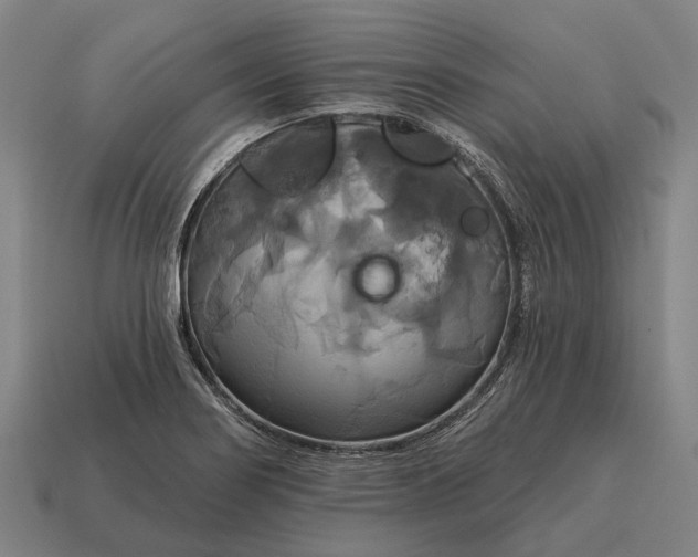 X0000115091274200911101516
