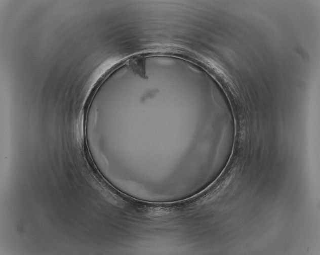 X0000115091275200911101516