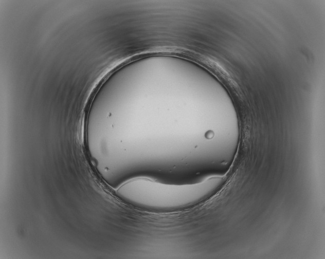 X0000115091276200911101516