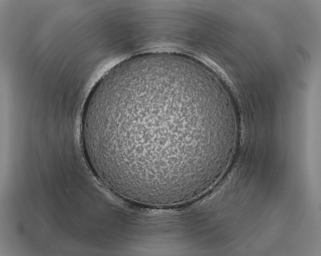 X0000115091277200911101516