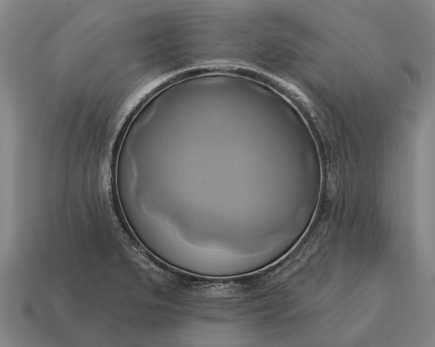 X0000115091279200911101516