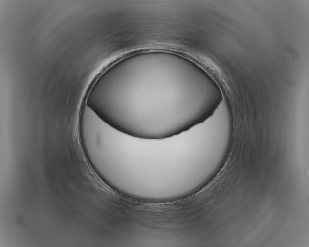 X0000115091280200911101516