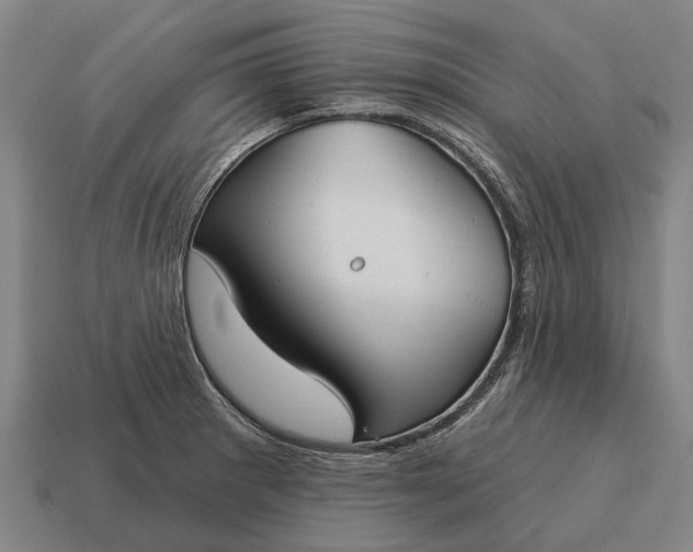 X0000115091281200911101516
