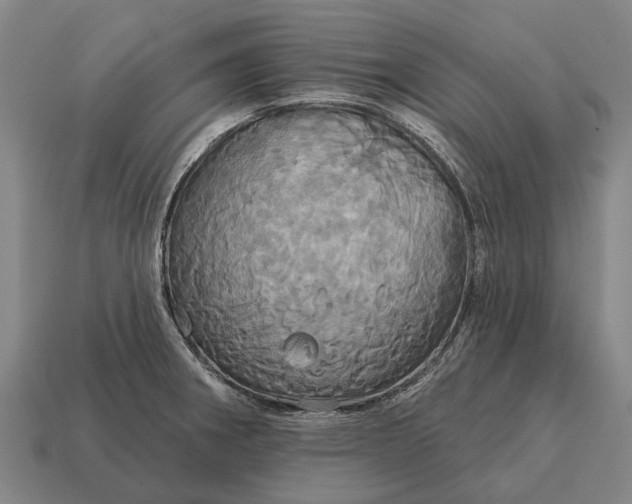 X0000115091282200911101516