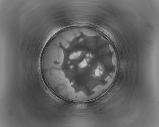 X0000115091283200911101516