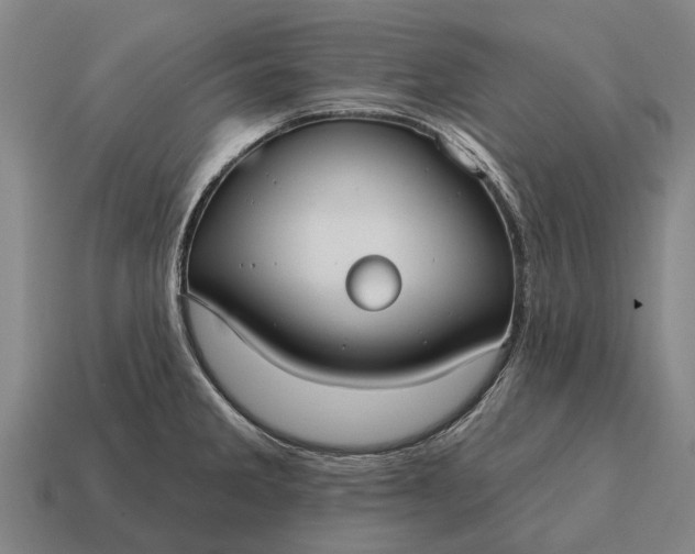 X0000115091285200911101516