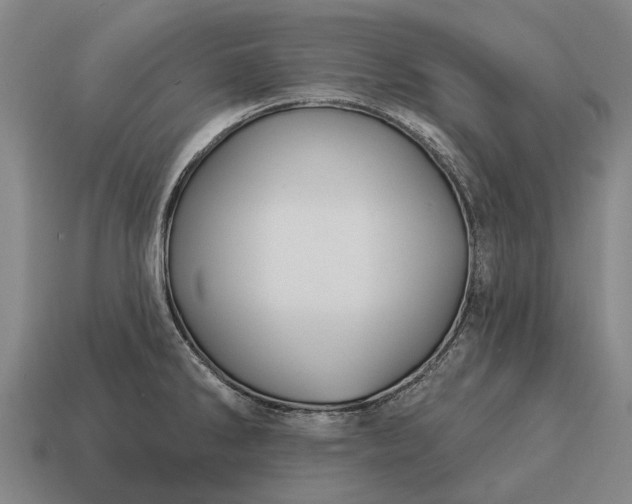 X0000115091286200911101516