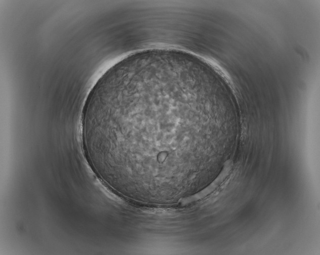 X0000115091287200911101516