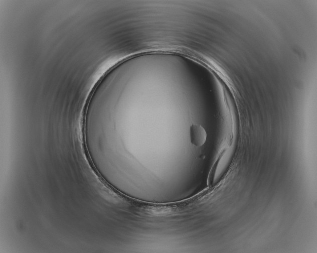 X0000115091291200911101516
