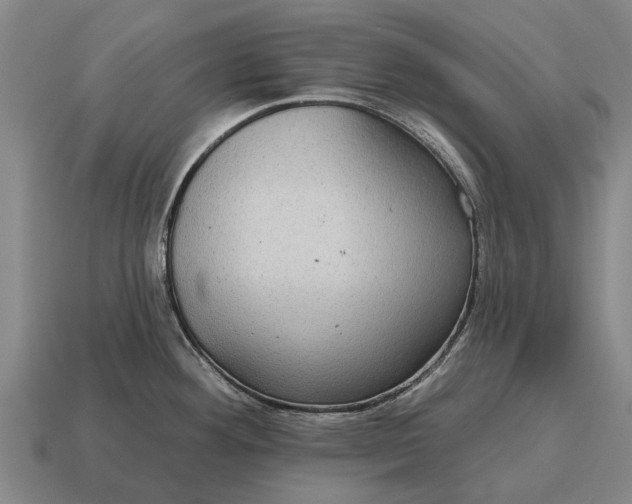 X0000115091292200911101516