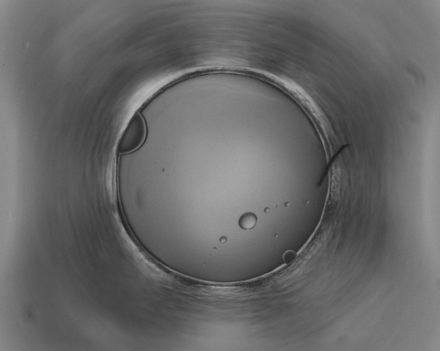X0000115091295200911101516