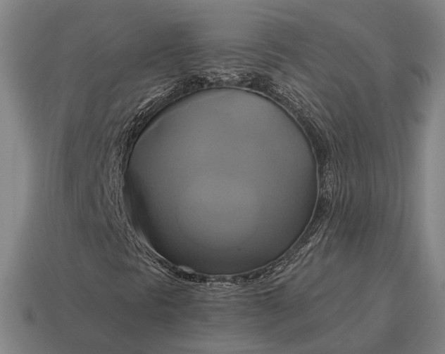 X0000115091297200911101515